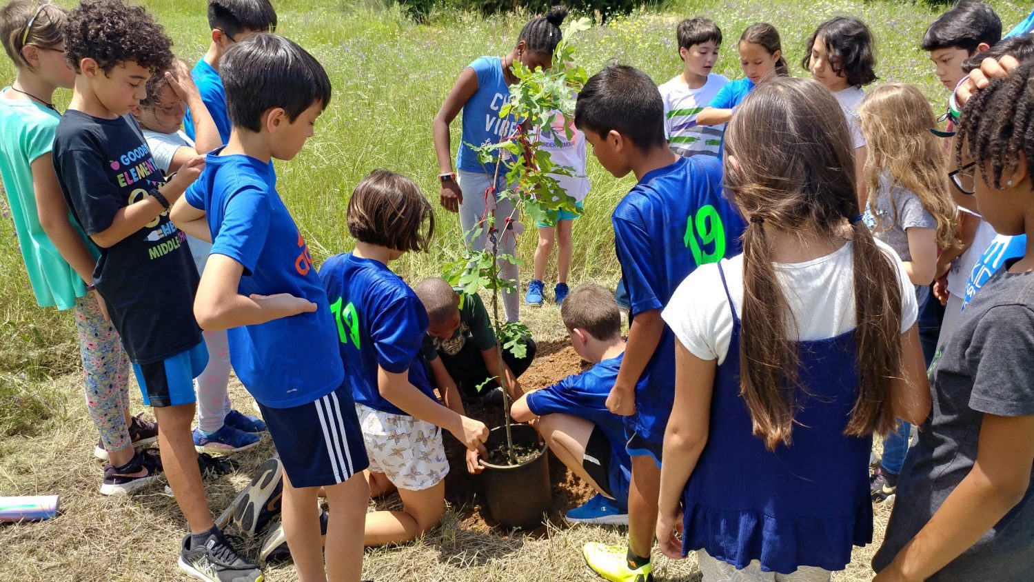 Planting Tree, The Montessori Academy of Arlington, Private School Arlington TX