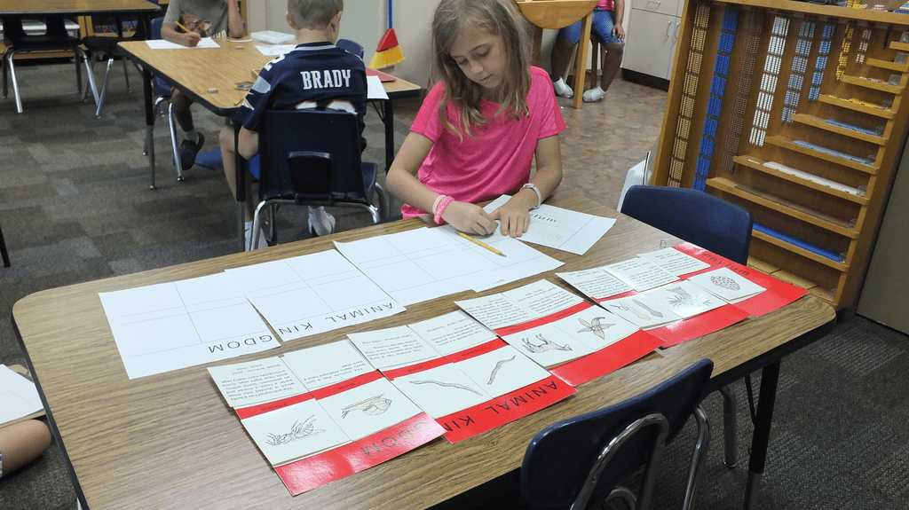 Lower Elementary Animal Kingdom, The Montessori Academy of Arlington, Private School Arlington TX