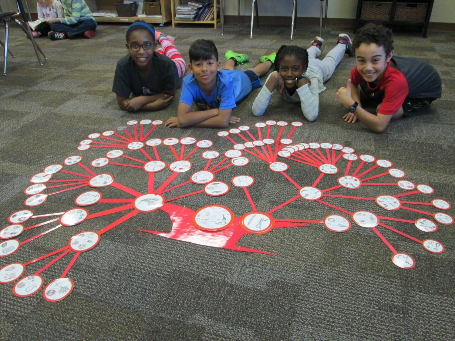 Upper Elementary Zoology Tree of Life, The Montessori Academy of Arlington, Private School Arlington TX
