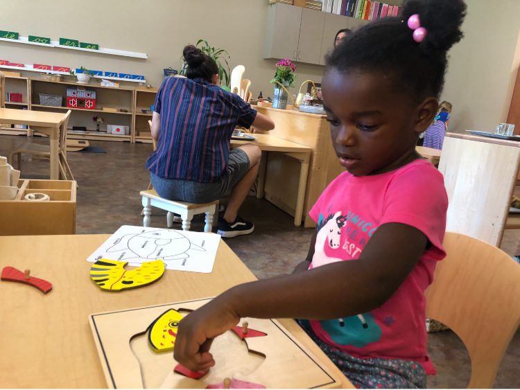 Early Childhood Knobbed Puzzles, The Montessori Academy of Arlington, Private School Arlington TX