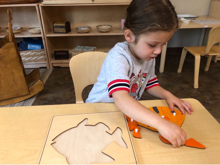 Early Childhood Knobbed Puzzles, The Montessori Academy of Arlington, Private School Arlington TX