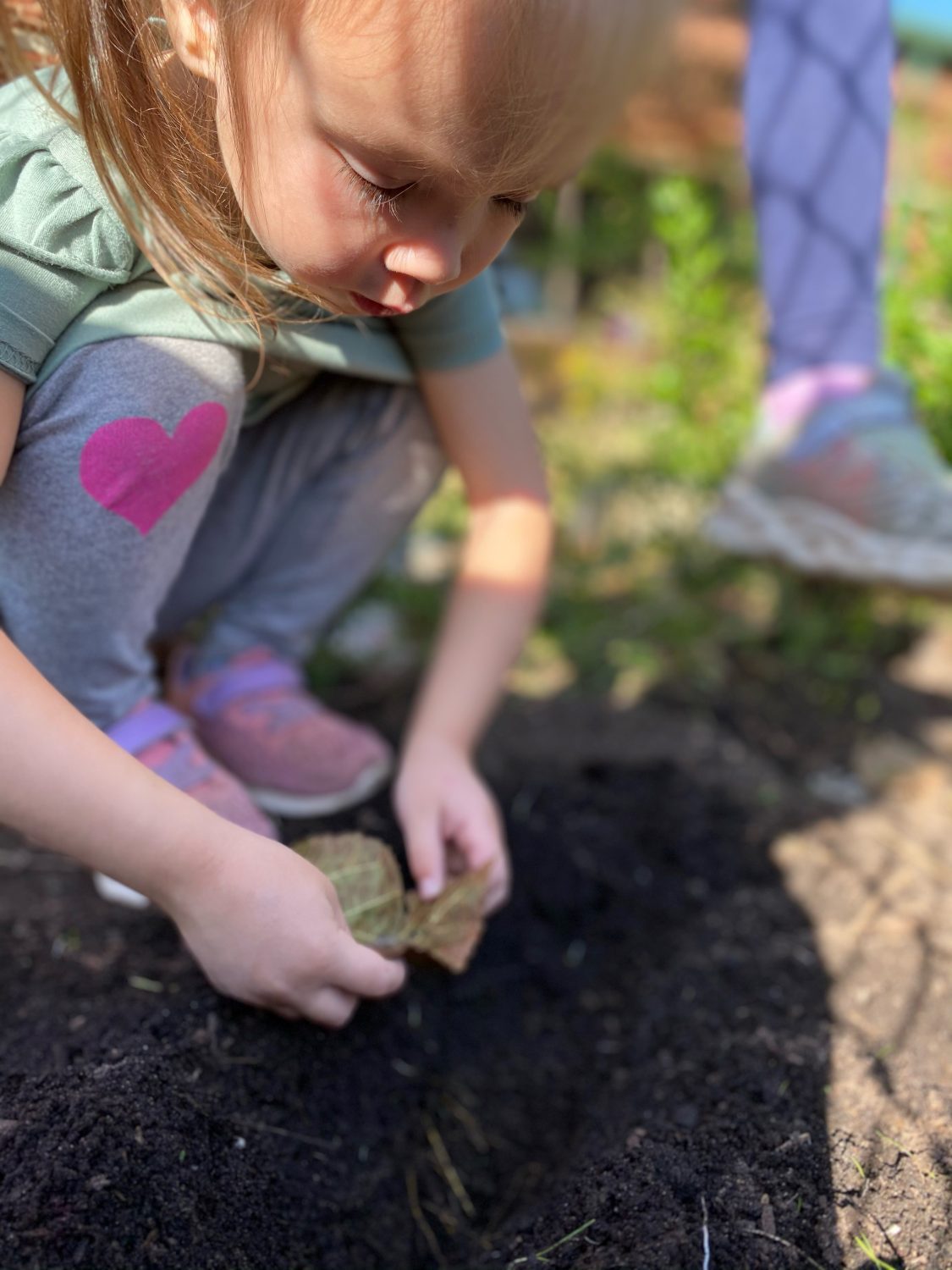 Early Childhood Circle of Life, The Montessori Academy of Arlington, Private School Arlington TX