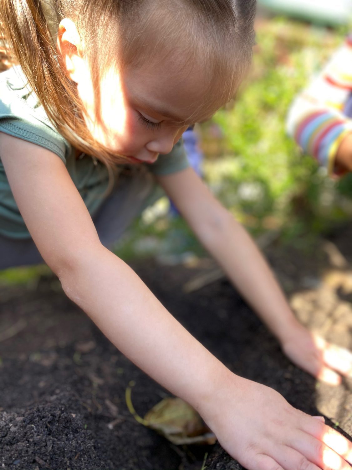 Early Childhood Circle of Life, The Montessori Academy of Arlington, Private School Arlington TX