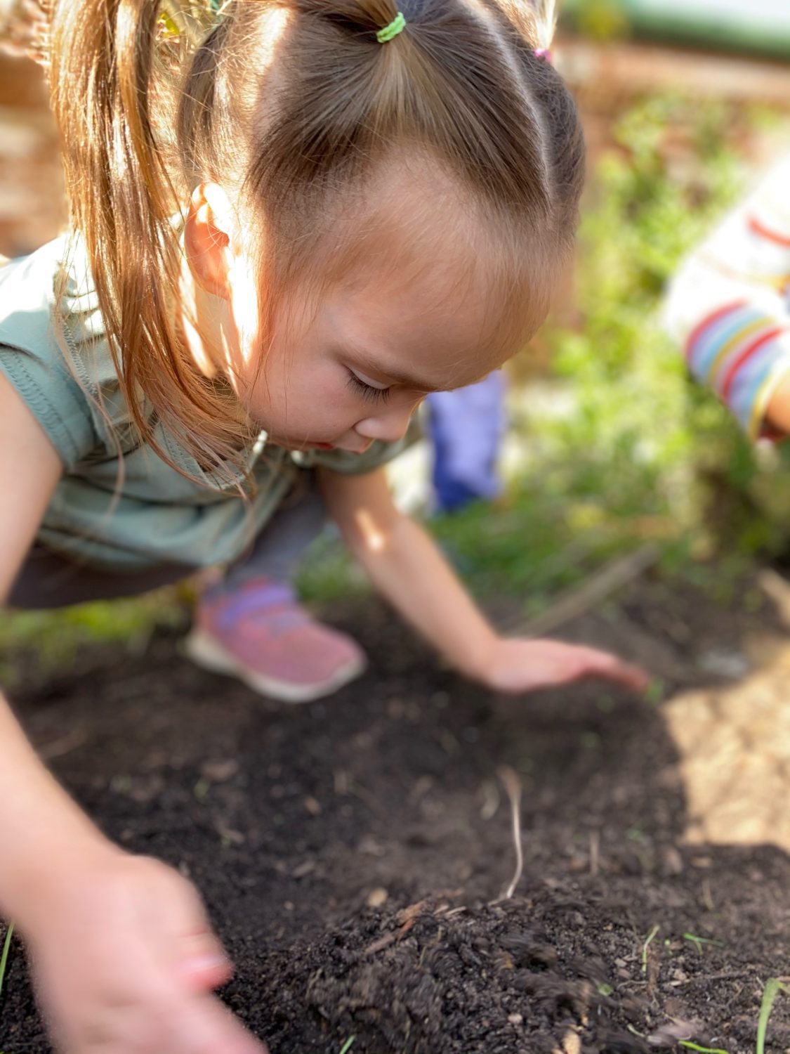 Early Childhood Circle of Life, The Montessori Academy of Arlington, Private School Arlington TX