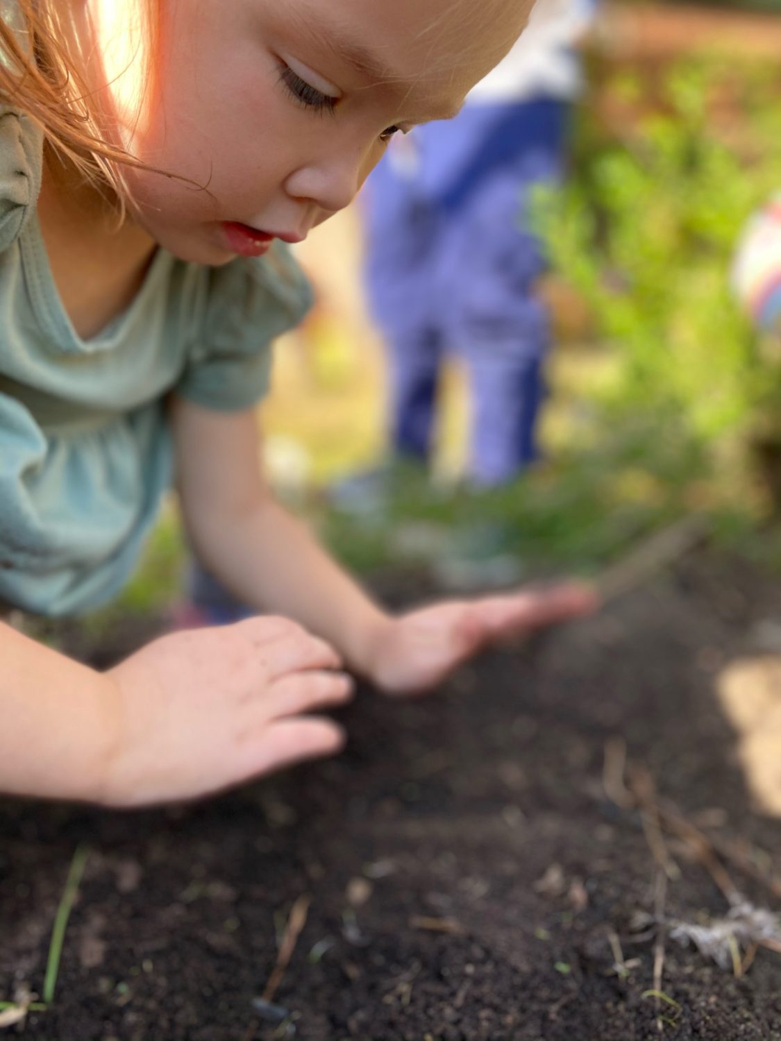 Early Childhood Circle of Life, The Montessori Academy of Arlington, Private School Arlington TX