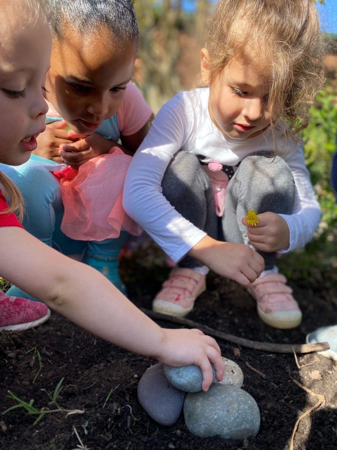 Early Childhood Circle of Life, The Montessori Academy of Arlington, Private School Arlington TX