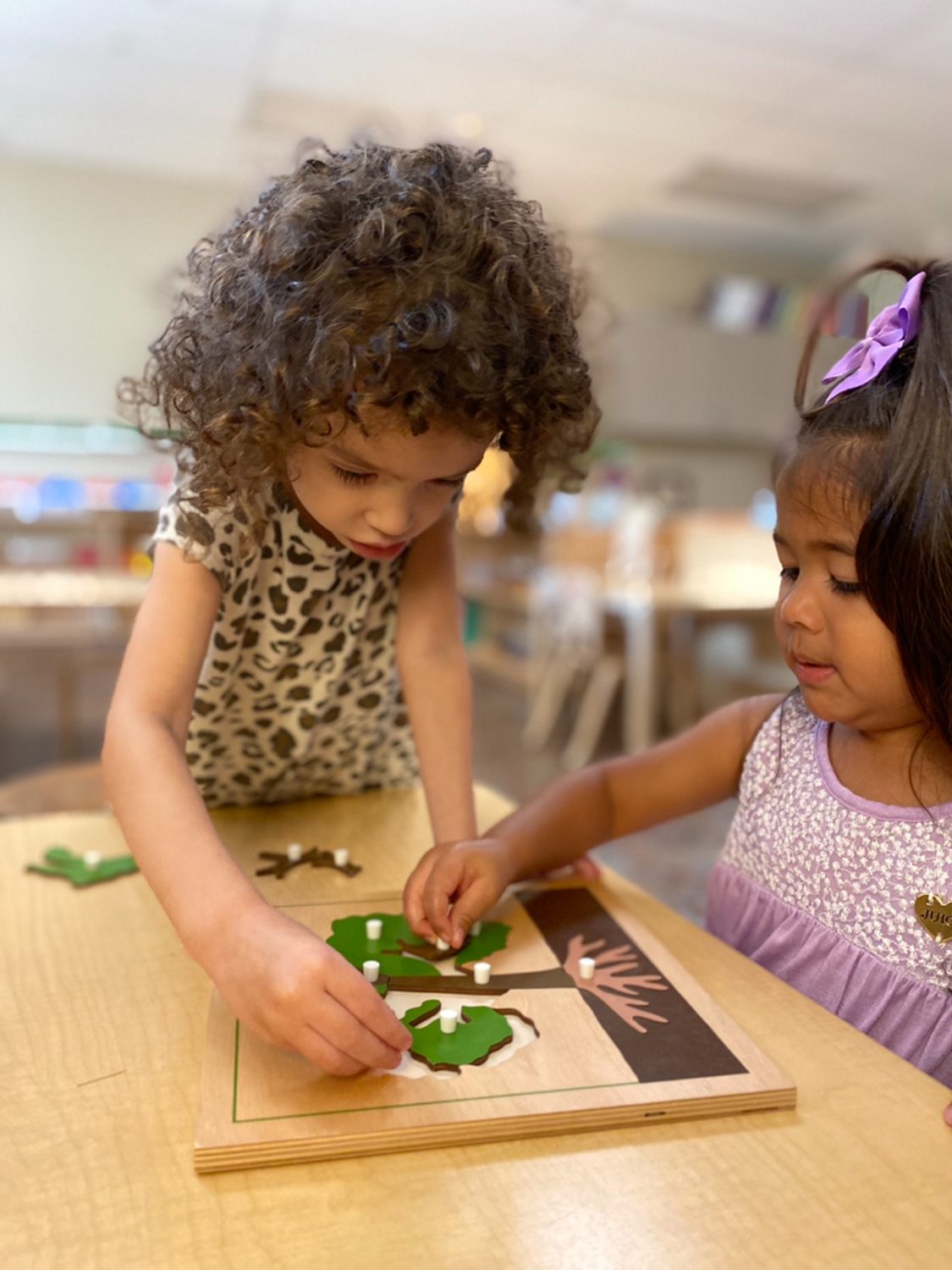 Early Childhood Multi-age Classroom, The Montessori Academy of Arlington, Private School Arlington TX