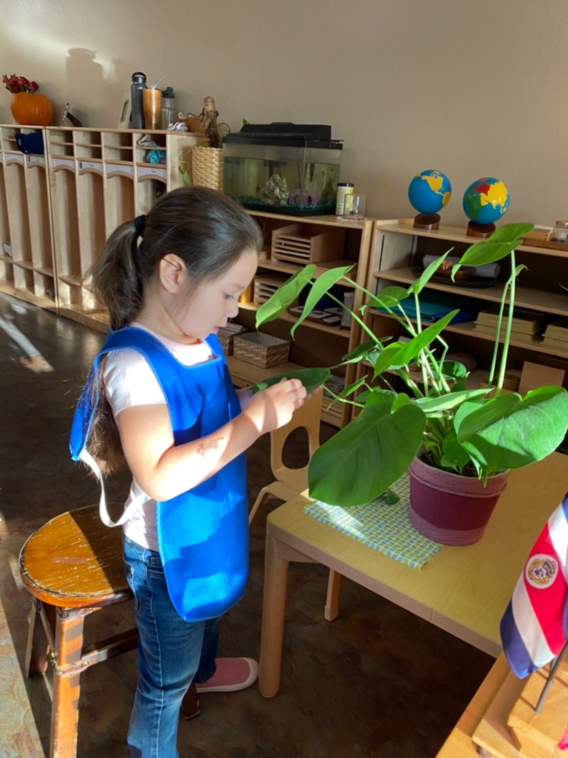 Early Childhood Plant Polishing, The Montessori Academy of Arlington, Private School Arlington TX