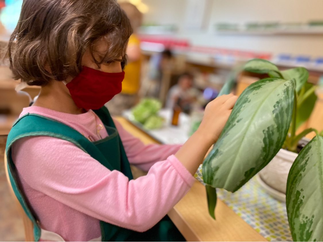 Early Childhood Plant Polishing, The Montessori Academy of Arlington, Private School Arlington TX