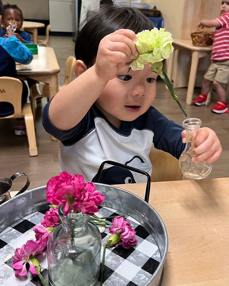 Toddler Flower Arranging