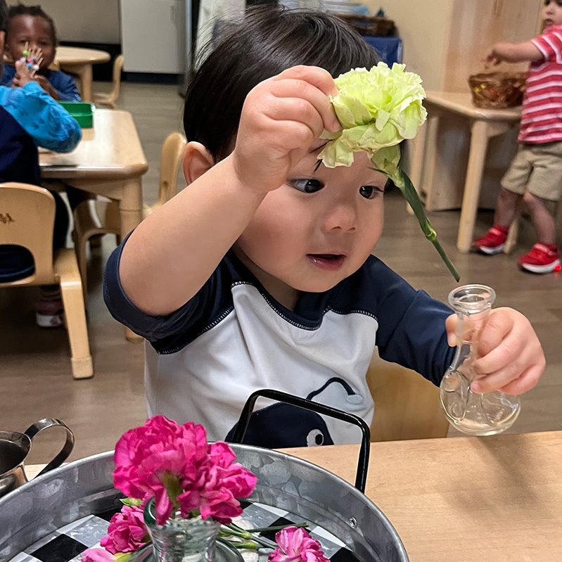 Toddler Flower Arranging