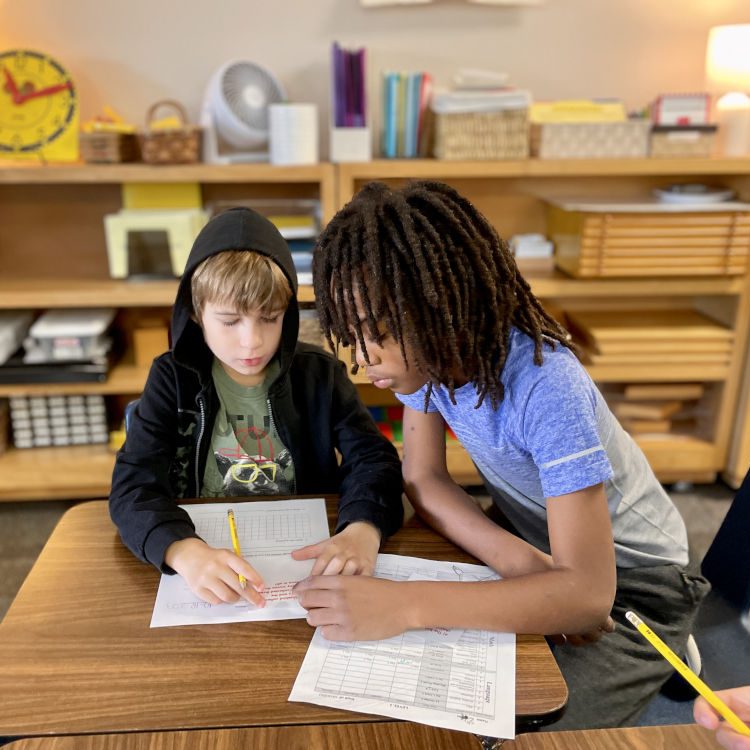 Lower Elementary Collaboration