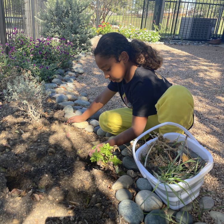 Lower Elementary Gardening
