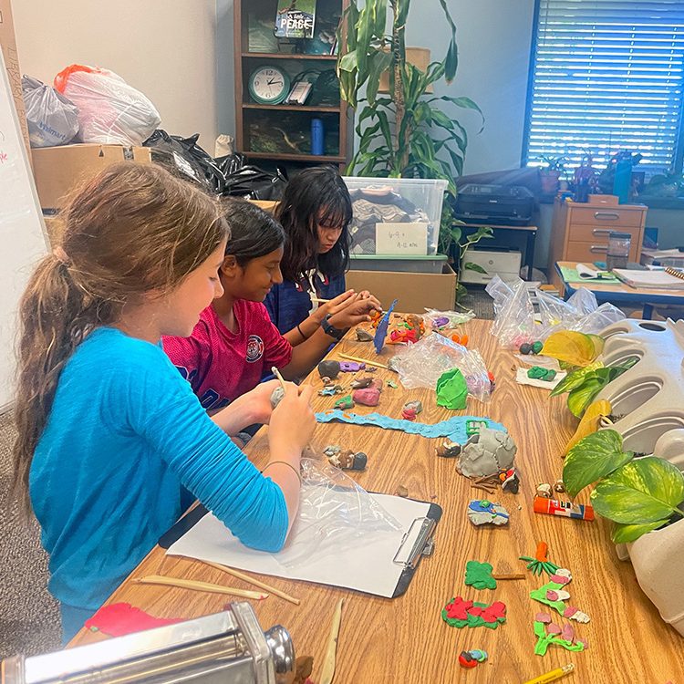 Upper Elementary Group Project