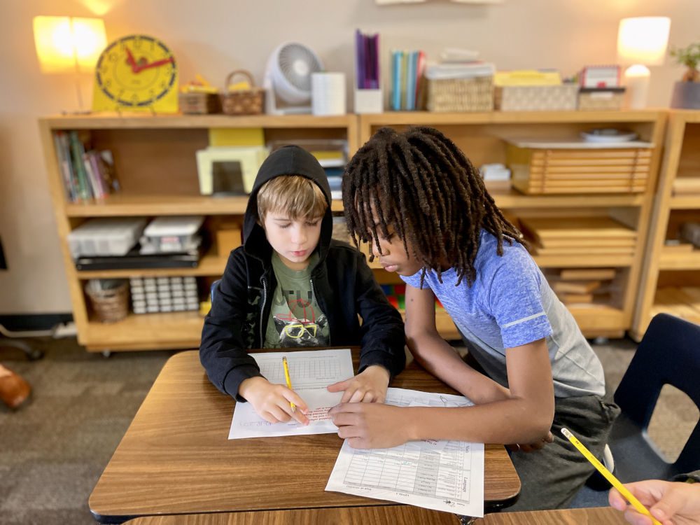 Lower Elementary Collaboration