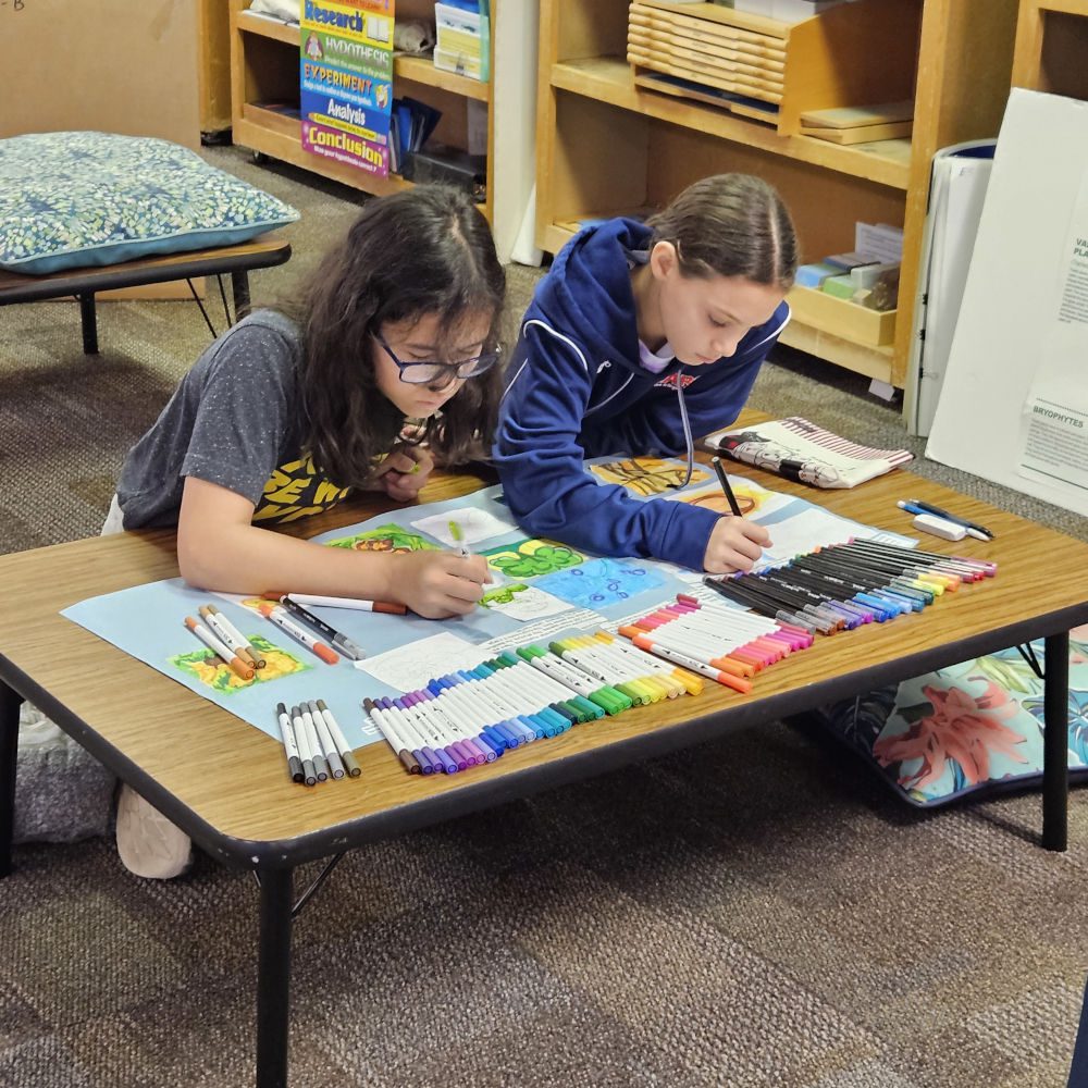 Upper Elementary Project Collaboration