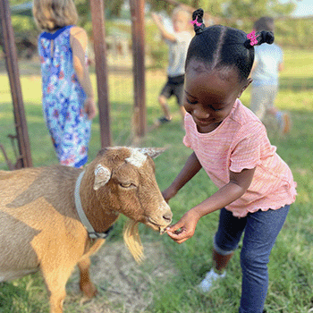 Early Childhood Outdoor Care of Animals