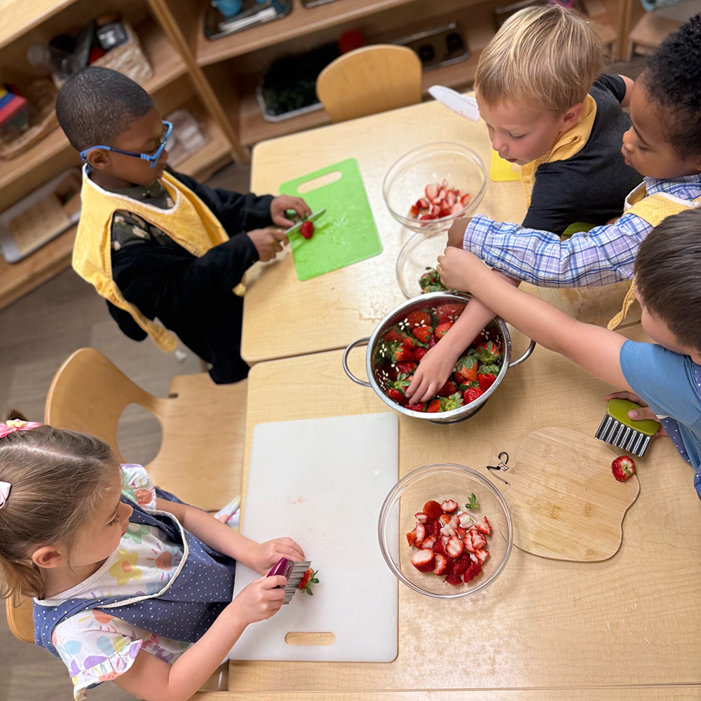 Early Childhood Food Preparation